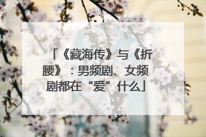 《藏海传》与《折腰》：男频剧、女频剧都在“爱”什么