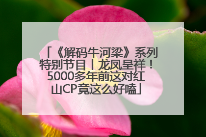 《解码牛河梁》系列特别节目丨龙凤呈祥！5000多年前这对红山CP竟这么好嗑