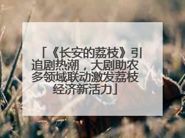 《长安的荔枝》引追剧热潮，大剧助农多领域联动激发荔枝经济新活力
