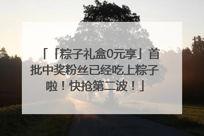 「粽子礼盒0元享」首批中奖粉丝已经吃上粽子啦！快抢第二波！