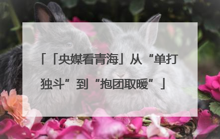 「央媒看青海」从“单打独斗”到“抱团取暖”