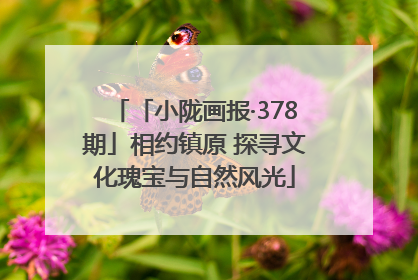 「小陇画报·378期」相约镇原 探寻文化瑰宝与自然风光