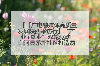 「广电融媒体高质量发展陕西采访行」“产业+就业”双轮驱动 白河县茅坪社区打造易地搬迁后扶新样本