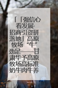 「强信心 看发展·招商引资拼落地」高原牧场“牛”劲足——甘肃华予高原牧场高标准奶牛肉牛养殖项目一线见闻