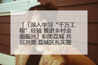 「深入学习“千万工程”经验 推进乡村全面振兴」和美荔城 共富共美 荔城区扎实推进乡村振兴工作