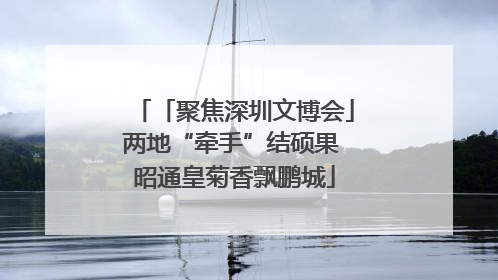 「聚焦深圳文博会」两地“牵手”结硕果 昭通皇菊香飘鹏城
