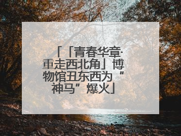 「青春华章·重走西北角」博物馆丑东西为“神马”爆火