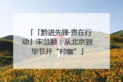「黔进先锋·贵在行动」宋慧颖：从北京到毕节开“村咖”