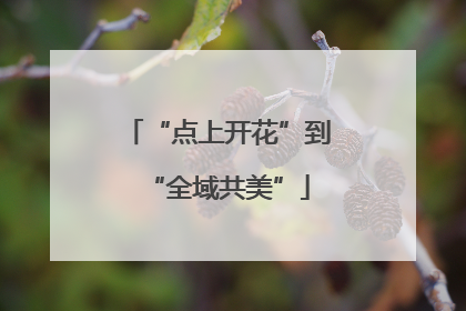 “点上开花”到“全域共美”