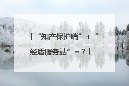 “知产保护哨”+“经盾服务站”=？