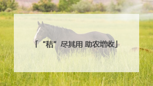 “秸”尽其用 助农增收