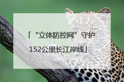 “立体防控网”守护152公里长江岸线