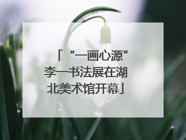 “一画心源”李一书法展在湖北美术馆开幕