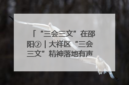 “三会三文”在邵阳②｜大祥区“三会三文”精神落地有声 以实干实绩助力区域高质量发展