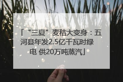 “三夏”麦秸大变身：五河县年发2.5亿千瓦时绿电 供20万吨蒸汽