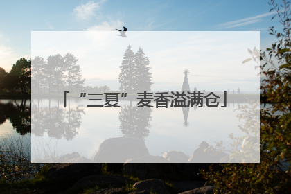 “三夏”麦香溢满仓