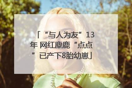 “与人为友”13年 网红麋鹿“点点”已产下8胎幼崽