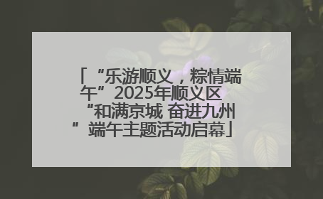 “乐游顺义，粽情端午”2025年顺义区“和满京城 奋进九州”端午主题活动启幕