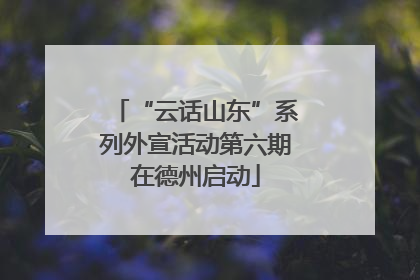 “云话山东”系列外宣活动第六期在德州启动