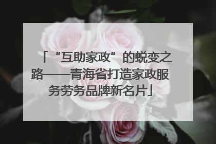 “互助家政”的蜕变之路——青海省打造家政服务劳务品牌新名片