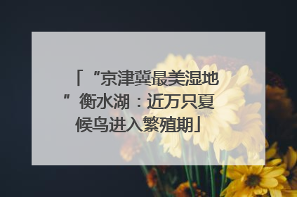 “京津冀最美湿地”衡水湖：近万只夏候鸟进入繁殖期
