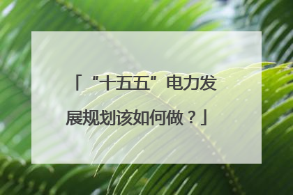 “十五五”电力发展规划该如何做？
