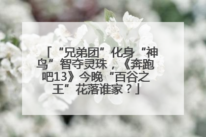 “兄弟团”化身“神鸟”智夺灵珠，《奔跑吧13》今晚“百谷之王”花落谁家？