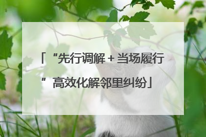 “先行调解＋当场履行”高效化解邻里纠纷