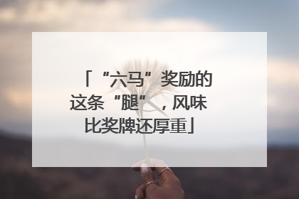 “六马”奖励的这条“腿”，风味比奖牌还厚重