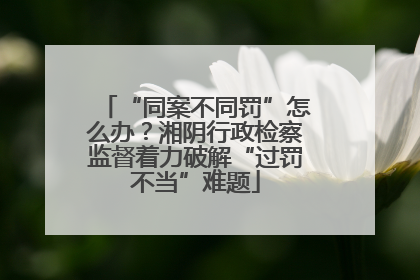 “同案不同罚”怎么办？湘阴行政检察监督着力破解“过罚不当”难题