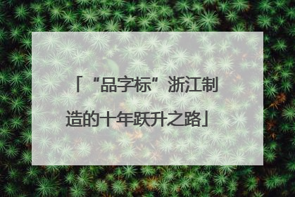 “品字标”浙江制造的十年跃升之路