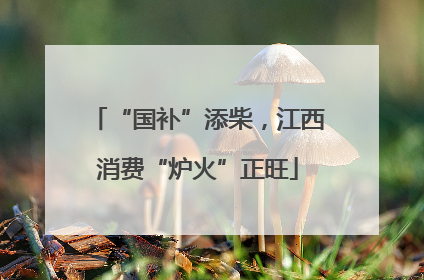 “国补”添柴，江西消费“炉火”正旺