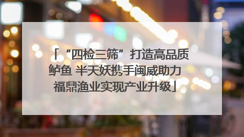 “四检三筛”打造高品质鲈鱼 半天妖携手闽威助力福鼎渔业实现产业升级