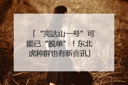 “完达山一号”可能已“脱单”！东北虎种群也有新喜讯