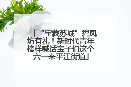 “宝藏苏城”碧凤坊有礼！新时代青年榜样喊话宝子们这个六一来平江街道