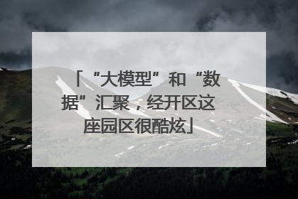 “大模型”和“数据”汇聚，经开区这座园区很酷炫