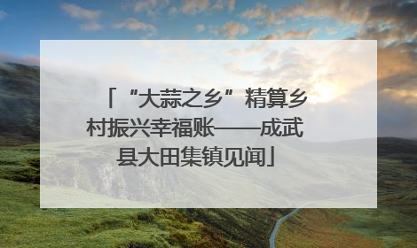 “大蒜之乡”精算乡村振兴幸福账——成武县大田集镇见闻