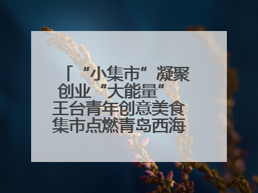 “小集市”凝聚创业“大能量” 王台青年创意美食集市点燃青岛西海岸新区北部新城夜经济