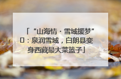 “山海情・雪域援梦”⑪：泉润雪域，白朗县变身西藏最大菜篮子