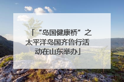 “岛国健康桥”之太平洋岛国齐鲁行活动在山东举办