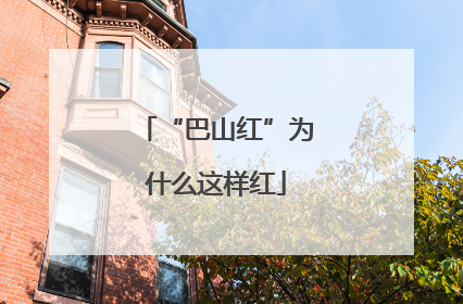 “巴山红”为什么这样红