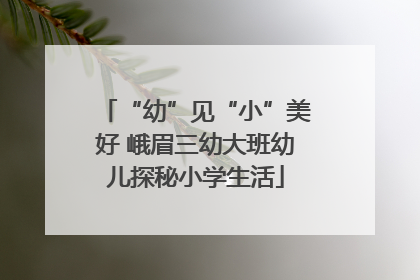 “幼”见“小”美好 峨眉三幼大班幼儿探秘小学生活