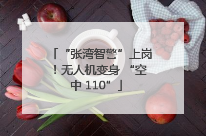 “张湾智警”上岗！无人机变身 “空中 110”