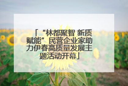 “林都聚智 新质赋能”民营企业家助力伊春高质量发展主题活动开幕
