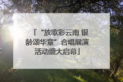 “放歌彩云南 银龄颂华章”合唱展演活动盛大启幕