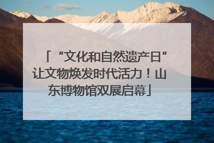 “文化和自然遗产日”让文物焕发时代活力！山东博物馆双展启幕