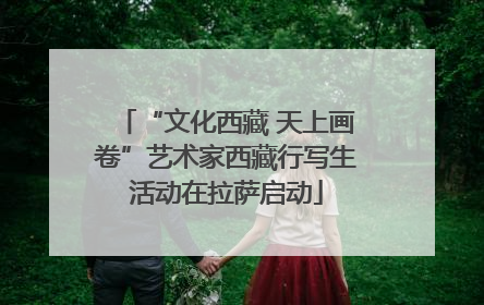 “文化西藏 天上画卷”艺术家西藏行写生活动在拉萨启动