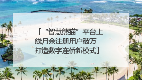 “智慧熊猫”平台上线月余注册用户破万 打造数字连侨新模式