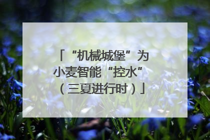 “机械城堡”为小麦智能“控水”（三夏进行时）