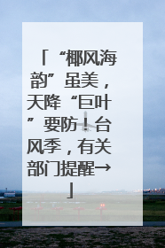 “椰风海韵”虽美，天降“巨叶”要防！台风季，有关部门提醒→